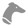 Dogs